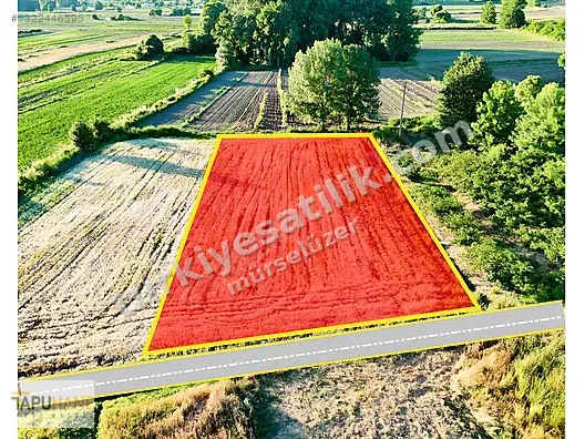 TAPUHANE'DEN Y. ÇALICADA 1618 M2 SATILIK TARLA